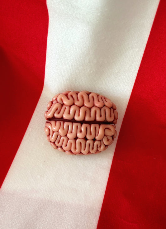 Hand Sculpted Palm Sized Brain