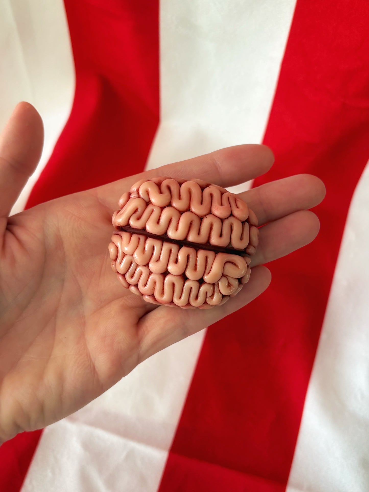 Hand Sculpted Palm Sized Brain